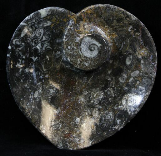 Heart Shaped Fossil Goniatite Dish #39338